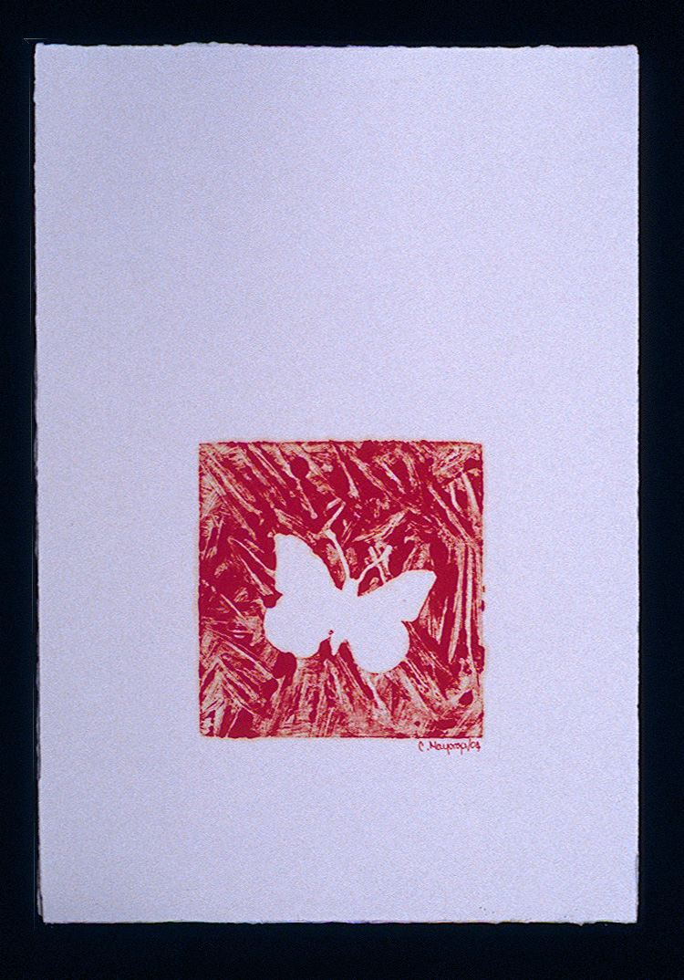 p mariposa mono 2